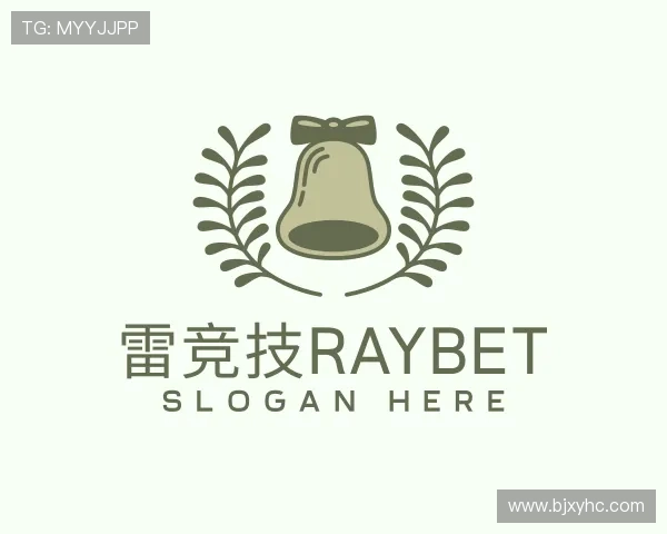介绍雷竞技Raybet